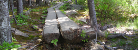 The Bowl Trail