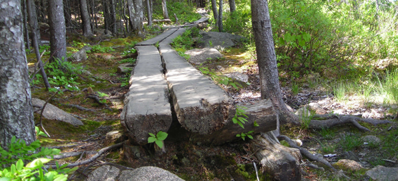 The Bowl Trail 