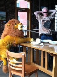 As Simba relaxed at Crema, one woman remarked, “Seeing that lion is the best thing that’s happened to me today.”