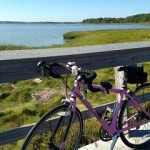 My preferred mode of travel takes me through the marshes of Cape Cod.