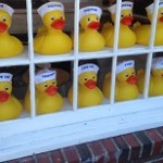 Storefront of Ducks in the Window